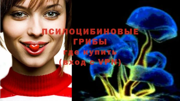 ешки Армянск