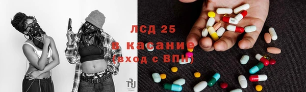 шишки Алексеевка