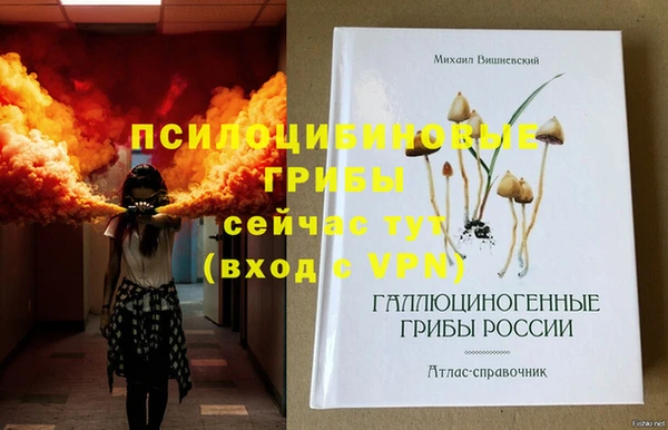 стаф Арсеньев